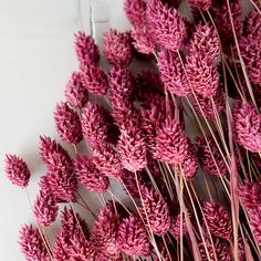 purple flowers are arranged on a white surface with the words fiftyflowers above them