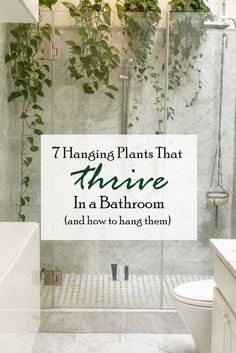 a bathroom with plants growing on the shower wall and in front of it is a sign that says, hanging plants that arrive in a bathroom and how to hang them