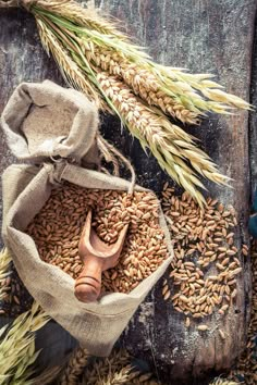 an assortment of grains and tools on a wooden table with ears of wheat in the background