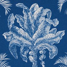 a blue and white drawing of a plant with large leaves on it's back