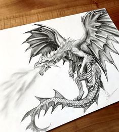 a pencil drawing of a dragon on paper