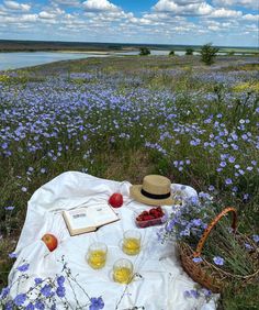 an open book and two glasses on a blanket in the middle of a field full of flowers