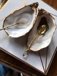 two open oysters on a white plate with gold spoon