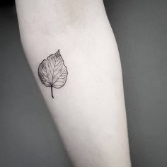 a single leaf tattoo on the left inner arm