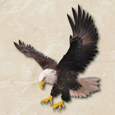 an eagle is flying in the air with its wings spread out and it's talon extended