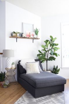 a living room filled with furniture and a potted plant on top of a shelf