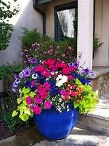 a large blue planter filled with lots of colorful flowers