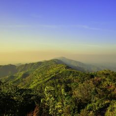 a view of the top of a mountain with trees in the foreground and fog in the background