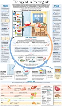 an info poster showing the different types of food and drinks in each section of the page