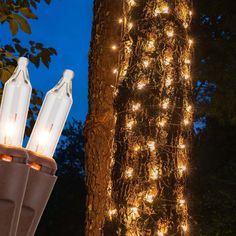 some lights that are on the side of a tree