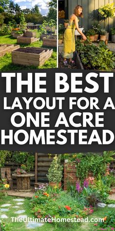 the best layout for a one - acre homestead garden is here