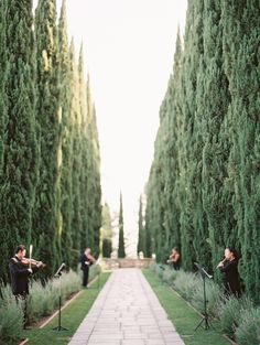 an outdoor wedding ceremony in the middle of a garden with tall trees and greenery