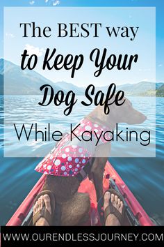 the best way to keep your dog safe while kayaking is with text overlay that reads, the best way to keep your dog safe while kayaking