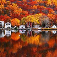 an image of the words relishing in front of autumn trees and boats on water