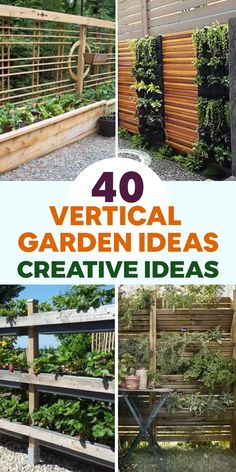 several vertical garden ideas with text overlay that reads 40 vertical garden ideas creative ideas