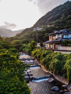 a river running through a lush green forest