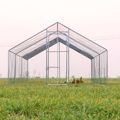 a chicken coop in the middle of a grassy field