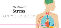 Constant stress can increase your risk for long-term health issues like heart attack and diabetes. Although some types of stress are normal and healthy, chronic stress is not and should be treated. The effects of stress on your body can cause both mental and physical conditions, and can put your health at risk. Alcohol Consumption, Effects Of Alcohol, Psychological Effects, Stressful Situations, Sleep Deprivation, Autoimmune Disease, After Effects, The Body, Health Benefits