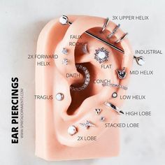 an ear is shown with different types of piercings on it and labeled in the text below