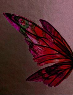 a red butterfly flying in the air with its wings spread out and it's eyes open