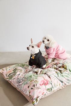 two small dogs sitting on top of a flowered pillow with pink and green leaves