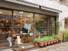 a store front with potted plants in the window