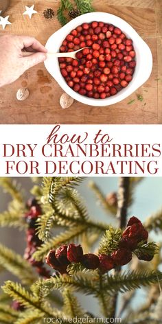 a bowl filled with cranberries sitting on top of a table next to pine cones