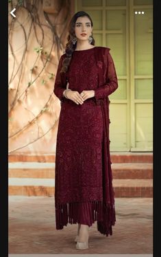 Dresses For Wedding Function, Pakistani Dresses For Wedding, Chiffon Party Dress, Hijab Wedding Dress, Pakistani Wedding Dress, 파티 드레스, Desi Clothes, Embroidered Chiffon