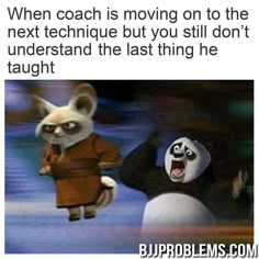 two cartoon pandas with caption saying when coach is moving on to the next technique but you still don't understand the last thing he taught