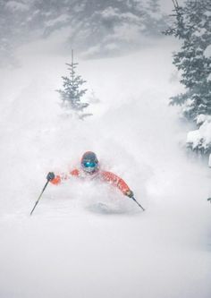 a person on skis in the snow with trees behind them and foggy sky