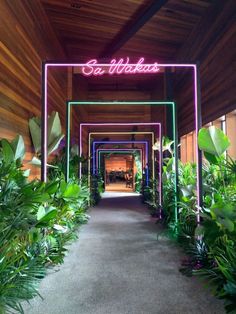 the entrance to an outdoor restaurant with neon lights and plants on either side of it