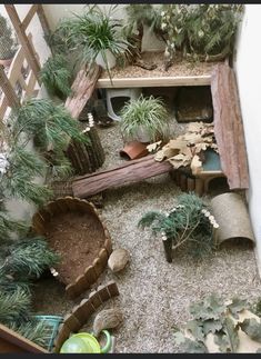 an indoor garden with plants and rocks in the ground, including succulents