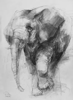 an elephant is shown in this black and white drawing, it appears to be walking