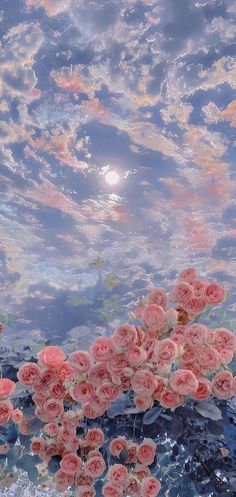 pink flowers floating in the water under a blue sky with clouds and sun reflecting on it