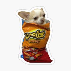 a chihuahua in a bag that is filled with chips sticker on the back of it's head