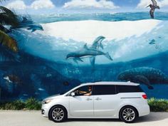 a white minivan parked in front of a wall with dolphins and other marine creatures