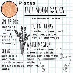 The Moon Manual by Quinn on Instagram: “Notes for this week's full moon. I'm all about the bath rituals if you didn't know 😜 Original art by @quinnkdyer Link in bio for more info…”