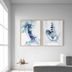 Physiotherapy Room Decor, Chiropractic Decor, Athletic Therapy, Physiotherapy Room, Chiropractic Office Decor, Physio Clinic, Chiro Office, Clinic Art, Pelvic Girdle