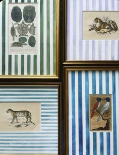 four framed pictures with animals and birds on striped paper in gold frames against a blue wall