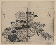 A picture of Blossoms from two kinds of hydrangea Japanese Hydrangea, Artsy Posters, Lino Printmaking, Hydrangea Tattoo, Zine Ideas, Hydrangeas Art, Piercings Ideas, Chinese Prints, Japanese Drawings