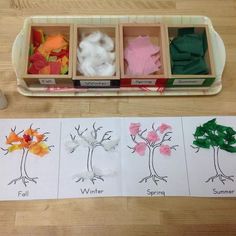 the four seasons trees are shown in their trays and on the table, each with different colors