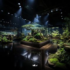 an aquarium filled with lots of green plants and animals in it's display case