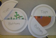 two paper plates with different types of tops and bottoms on the same plate are labeled