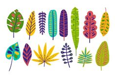 an assortment of colorful leaves on a white background