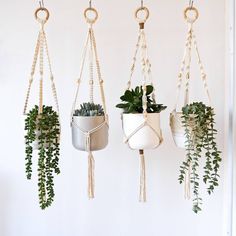 three hanging planters with plants in them