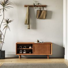 a wooden cabinet sitting next to a potted plant on top of a hard wood floor