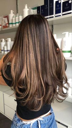 Brown Balayage Hair With Highlights, Types Of Highlights For Hair Dark Brown, 2000s Latina Hair, Straight Chestnut Brown Hair, Honey Blonde Hair With Brown Caramel Summer Carmel Highlights, Brown Hair To Black, Caramel Highlights On Brown Hair Straight, Loose Wavy Hairstyles, Neutral Highlights On Brown Hair