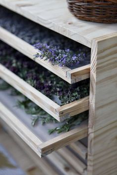 three wooden drawers with plants growing out of them on top of each other in front of a basket