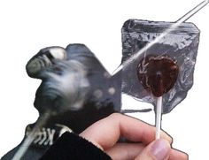 a hand holding a chocolate lollipop with a bird on the back of it