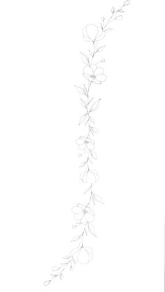 a black and white drawing of a plant